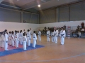 Taekwondo_2012_04_14_EntrenoCompeticion_PozodeGuadalajara (10)