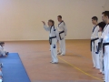 Taekwondo_2012_04_14_EntrenoCompeticion_PozodeGuadalajara (13)