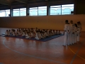Taekwondo_2012_04_14_EntrenoCompeticion_PozodeGuadalajara (14)