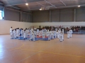 Taekwondo_2012_04_14_EntrenoCompeticion_PozodeGuadalajara (15)