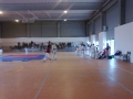 Taekwondo_2012_04_14_EntrenoCompeticion_PozodeGuadalajara (2)