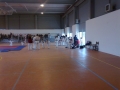 Taekwondo_2012_04_14_EntrenoCompeticion_PozodeGuadalajara (3)