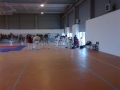 Taekwondo_2012_04_14_EntrenoCompeticion_PozodeGuadalajara (3)