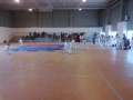 Taekwondo_2012_04_14_EntrenoCompeticion_PozodeGuadalajara (4)