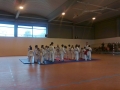Taekwondo_2012_04_14_EntrenoCompeticion_PozodeGuadalajara (5)