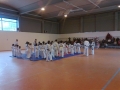 Taekwondo_2012_04_14_EntrenoCompeticion_PozodeGuadalajara (6)