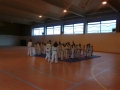 Taekwondo_2012_04_14_EntrenoCompeticion_PozodeGuadalajara (8)