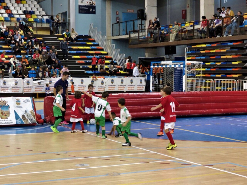 FS Pozo de Guadalajara prebenjamín - AMPA Alvárfañez 8-11-14