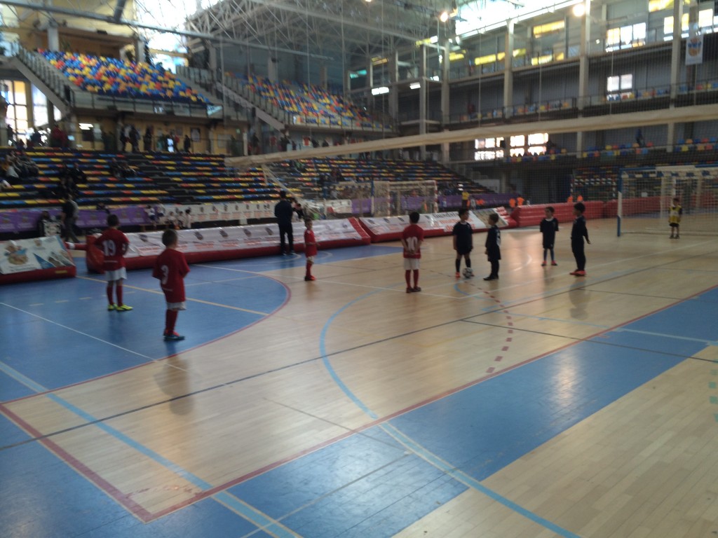 ED Pioz B - FS Pozo de Guadalajara prebenjamín 11-1-15