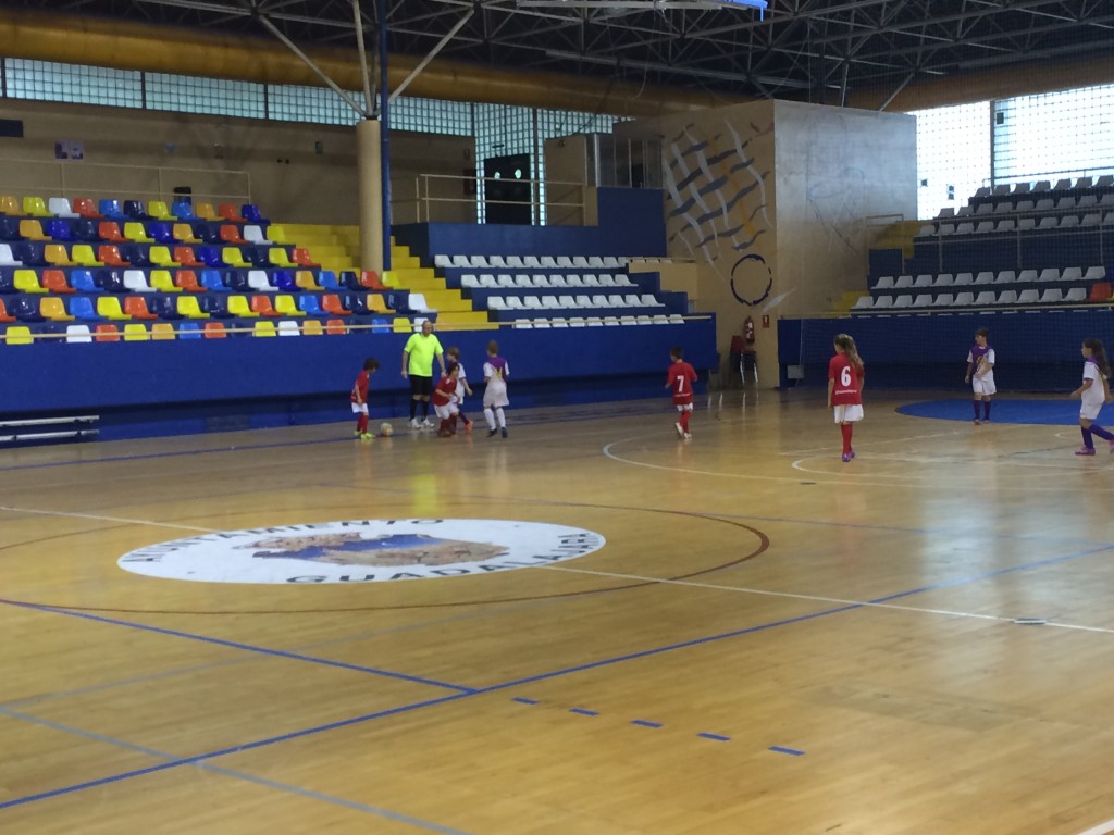 Guadalajara Sala C - FS Pozo de Guadalajara benjamín 26-4-15