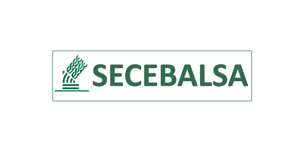 Secebalsa