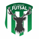 Los Yébenes Futsal