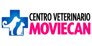 Moviecan